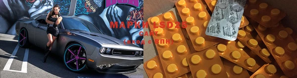 apvp Дмитриев