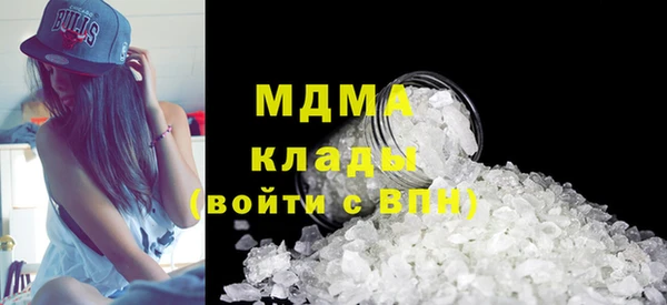 стаф Ельня