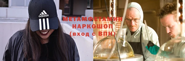 прущие грибы Балахна