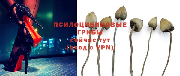 гашик Аркадак