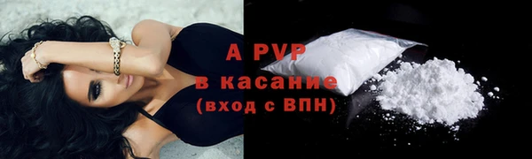 гашик Аркадак