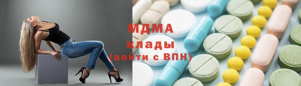 индика Елизово
