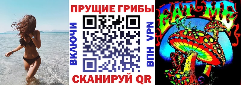 Галлюциногенные грибы Magic Shrooms  дарк нет клад  Белая Холуница  купить наркотики цена 